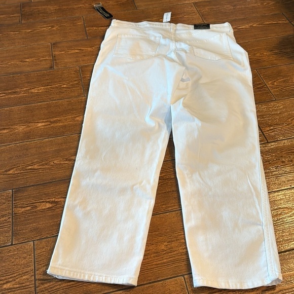Banana Republic Pure White SUPER CUTE Size 12/31 Slouch Jeans RETAIL $80 - Picture 5 of 7